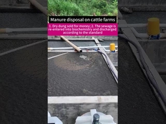 Convogliatore a vite