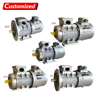 Un buon prezzo. Motore a tre fasi a frequenza variabile a corrente alternata a 1400 giri al minuto con avvio morbido e regolazione della velocità senza passaggio in linea