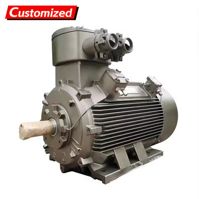 Un buon prezzo. Motore asincrono trifase antideflagrante su misura con frequenza di 50Hz e potenza di 22KW per applicazioni industriali in linea